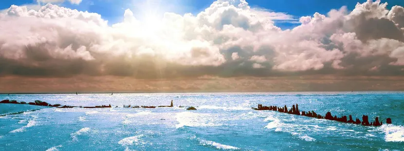 Форма обратной связи